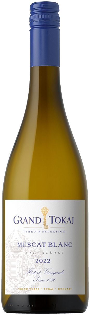 Grand Tokaj Terroir Muscat Blanc 2023 11,5% 0,75L.png Grand Tokaj Terroir Muscat Blanc 2023 11,5% 0,75L.png